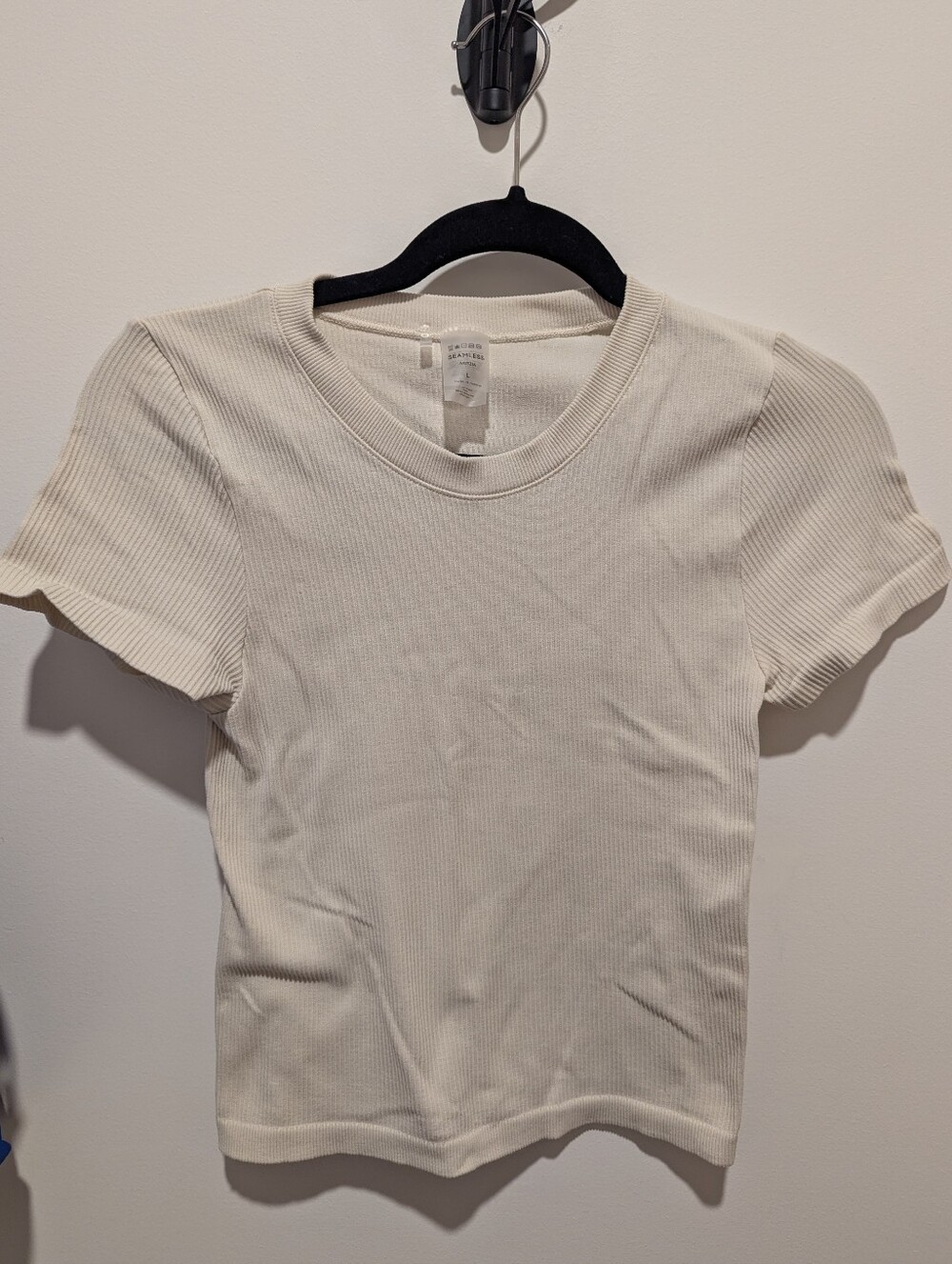 FREE W PURCHASE Aritzia Seamless Tee